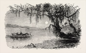 VIEW ON THE ASHLEY RIVER, UNITED STATES OF AMERICA, US, USA, 1870s engraving
