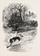 A RACE FOR LIFE; SWIMMING AWAY FROM AN INDIAN SHOOTING ARROWS, US, USA, 1870s engraving