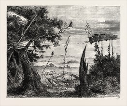 INDIAN BURIAL-GROUND ON THE MISSISSIPPI, UNITED STATES OF AMERICA, US, USA, 1870s engraving
