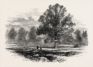 BATTLEFIELD OF ABERCROMBIE'S DEFEAT, US, USA, 1870s engraving