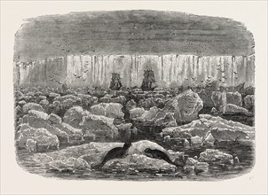 ICE-BARRIER OF THE ANTARCTIC CONTINENT, 1870s engraving