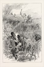 A SLAVE HUNT, UNITED STATES OF AMERICA, US, USA, SLAVERY, 1870s engraving