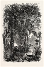 VIEW ON THE PANAMA RAILROAD, PANAMA, 1870s engraving