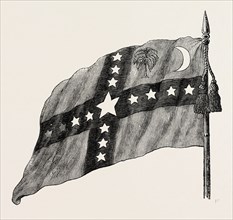 THE SOUTH CAROLINA FLAG, UNITED STATES OF AMERICA, AMERICAN HISTORY, US, USA, 1870s engraving