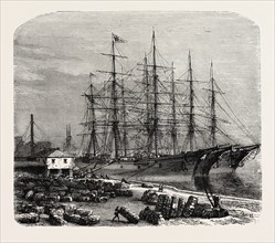 EMBARKING COTTON AT SAVANNAH, UNITED STATES OF AMERICA, US, USA, 1870s engraving