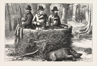THE EMPEROR OF GERMANY AT AN IMPERIAL BOAR HUNT