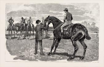 DRAWN 'BY JOHN CHARLTON, HORSE, engraving 1884, life in Britain, UK, britain, british, europe,