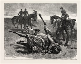 DRAWN BY JOHN CHARLTON, HORSES, engraving 1884, life in Britain, UK, britain, british, europe,