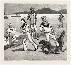 BY JOVE, THOSE DOGS SEEM TO HAVE TAKEN QUITE A LIKING TO MY MEN, engraving 1884