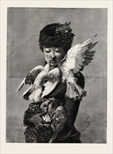 LADY AND PIGEONS, FASHION, ENGRAVING 1882