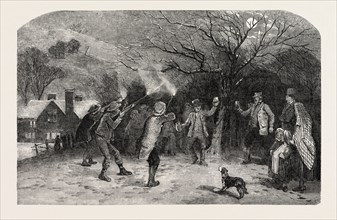 FIRING AT THE APPLE TREE, IN DEVONSHIRE, UK, 1851 engraving