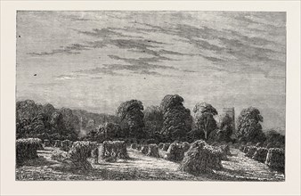 EXHIBITION OF MODERN BRITISH ART: A CORN FIELD: EVENING. PAINTED BY C. DAVIDSON, 1851 engraving