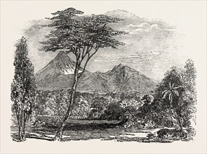 VIEW IN CROFTON PARK, NEW ZEALAND, 1851 engraving
