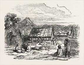 VIEW ON WAITERA RIVER, NORTH BANK, NEW ZEALAND, 1851 engraving