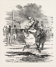 A BOLTING HORSE, 1851 engraving