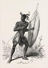 ZULU WARRIOR, KAFFRARIA, SOUTH AFRICA, 1851 engraving