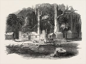 EMIGRANTS' COTTAGE, OTAGO, NEW ZEALAND, 1851 engraving