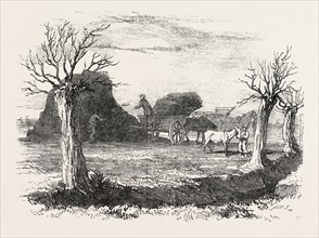 WHITTLESEA MERE, CARTING PEAT FROM THE STACK, UK, 1851 engraving