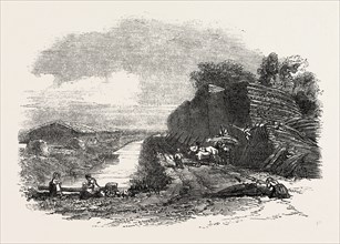 WHITTLESEA MERE, STACKING REED, BY THE HOLME LODGE, UK, 1851 engraving