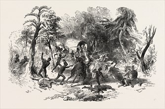 ATTACK ON COLONISTS' WAGGON, BY KAFFIRS, SOUTH AFRICA, 1851 engraving
