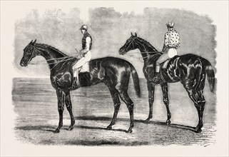 YORK SPRING MEETING, GREAT NATIONAL MATCH FOR Â£1000; HORSE ON THE LEFT: FLYING DUTCHMAN, THE