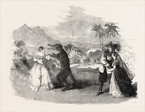 SCENE FROM THE QUEEN OF FROGS, AT THE LYCEUM THEATRE, LONDON, UK, 1851 engraving