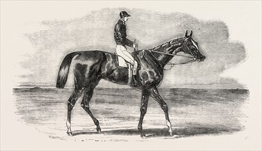 EPSOM RACES: TEDDINGTON, THE WINNER OF THE DERBY, UK, HORSE RACING, EQUESTRIAN, 1851 engraving