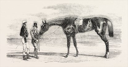 EPSOM RACES: IRIS, THE WINNER OF THE OAKS, UK, HORSE RACING, EQUESTRIAN, 1851 engraving