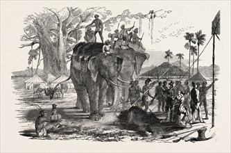 HIGH LAND OF BEERBHOOM, A PARTY, INCLUDING TWO ELEPHANTS, RETURNING FROM BEAR-SHOOTING, BIRBHUM,
