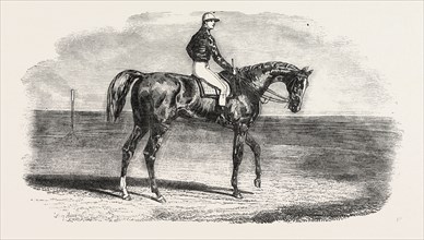 ASCOT RACES: WOOLWICH, THE WINNER OF THE EMPEROR'S VASE; Little Jack made all the running, Woolwich