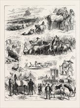 BIPEDS AND QUADRUPEDS AT BARNET FAIR, UK, 1873 engraving