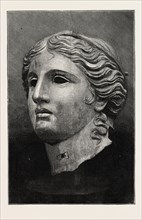 THE CASTELLANI COLLECTION AT THE BRITISH MUSEUM: BRONZE HEAD OF APHRODITE, UK, 1873 engraving