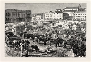 THE EARLY MORNING MARKET, PORT ELIZABETH, CAPE COLONY, SOUTH AFRICA