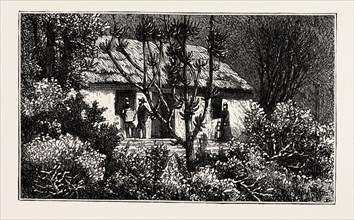 A COTTAGE IN THE BUSH, CAPE COLONY, SOUTH AFRICA