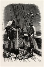 CONVERSATION AT SEA, VESSEL, SAILOR, SAILORS, MARITIME