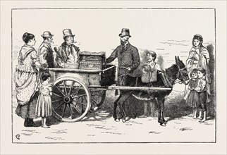 THE NOBLEMAN ORGAN GRINDER NOW ON A TOUR THROUGH THE IRISH PROVINCES, 1873 engraving