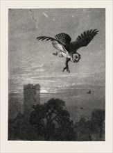 CATCHING AN OWL, 1873 engraving