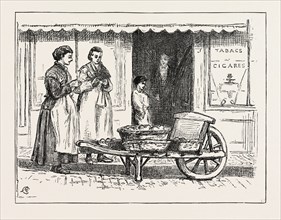 AN ANTWERP MARKET WOMAN, BELGIUM, 1873 engraving