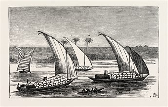 COTTON ON ITS WAY DOWN THE NILE, EGYPT, 1873 engraving
