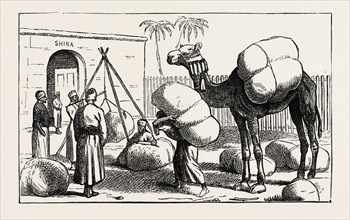 SHUNA INCLOSURE: WEIGHING COTTON BAGS BEFORE PRESS PACKING FOR SHIPMENT, EGYPT, 1873 engraving