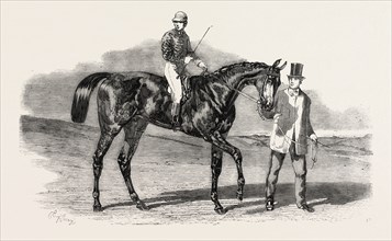 SWEETSAUCE, THE WINNER OF THE STEWARDS AND THE GOODWOOD CUPS, UK, RACE HORSE, HORSE