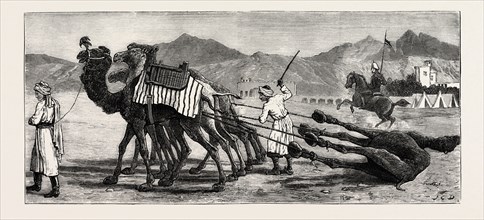 THE CAMPAIGN IN AFGHANISTAN: A CAMEL'S FUNERAL PROCESSION