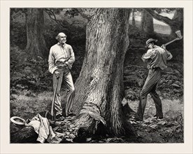 A HOLIDAY TASK AT HAWARDEN, 1877, UK, Gladstone preparing to fell a tree