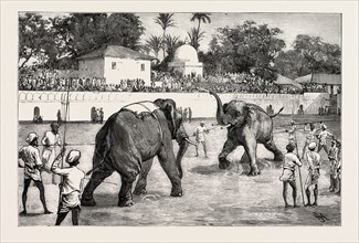 THE MARRIAGE OF THE GAIKWAR OF BARODA: THE ELEPHANT FIGHT IN THE ARENA, INDIA