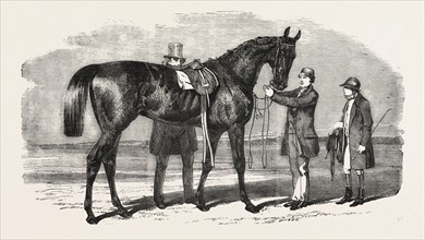 RUPEE, THE WINNER OF THE ASCOT CUP, UK, 1860 engraving