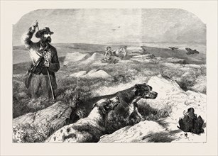 GROUSE SHOOTING, FROM A DRAWING BY HARRISON WEIR, 1860 engraving