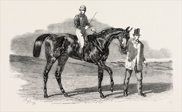 SWEETSAUCE: THE WINNER OF THE STEWARDS' AND THE GOODWOOD CUPS, UK, 1860 engraving