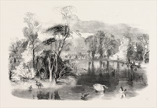 THE NEW LAKE, KEW GARDENS, LONDON, UK, 1860 engraving