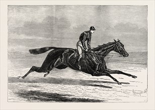 AVENTURIERE, WINNER OF THE CESAREWITCH STAKES AT NEWMARKET, UK