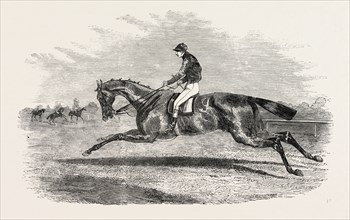 S.A. NICHOL'S "NEWMINSTER," WINNER OF THE GREAT ST. LEGER STAKES, AT DONCASTER, 1851